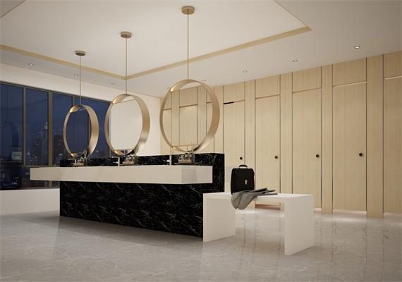 PVC Toilet Cubicle